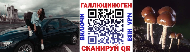 Галлюциногенные грибы Cubensis  Новочебоксарск 