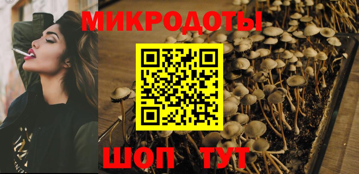 Галлюциногенные грибы MAGIC MUSHROOMS  Вход с VPN  Галлюциногенные грибы MAGIC MUSHROOMS  Новочебоксарск 